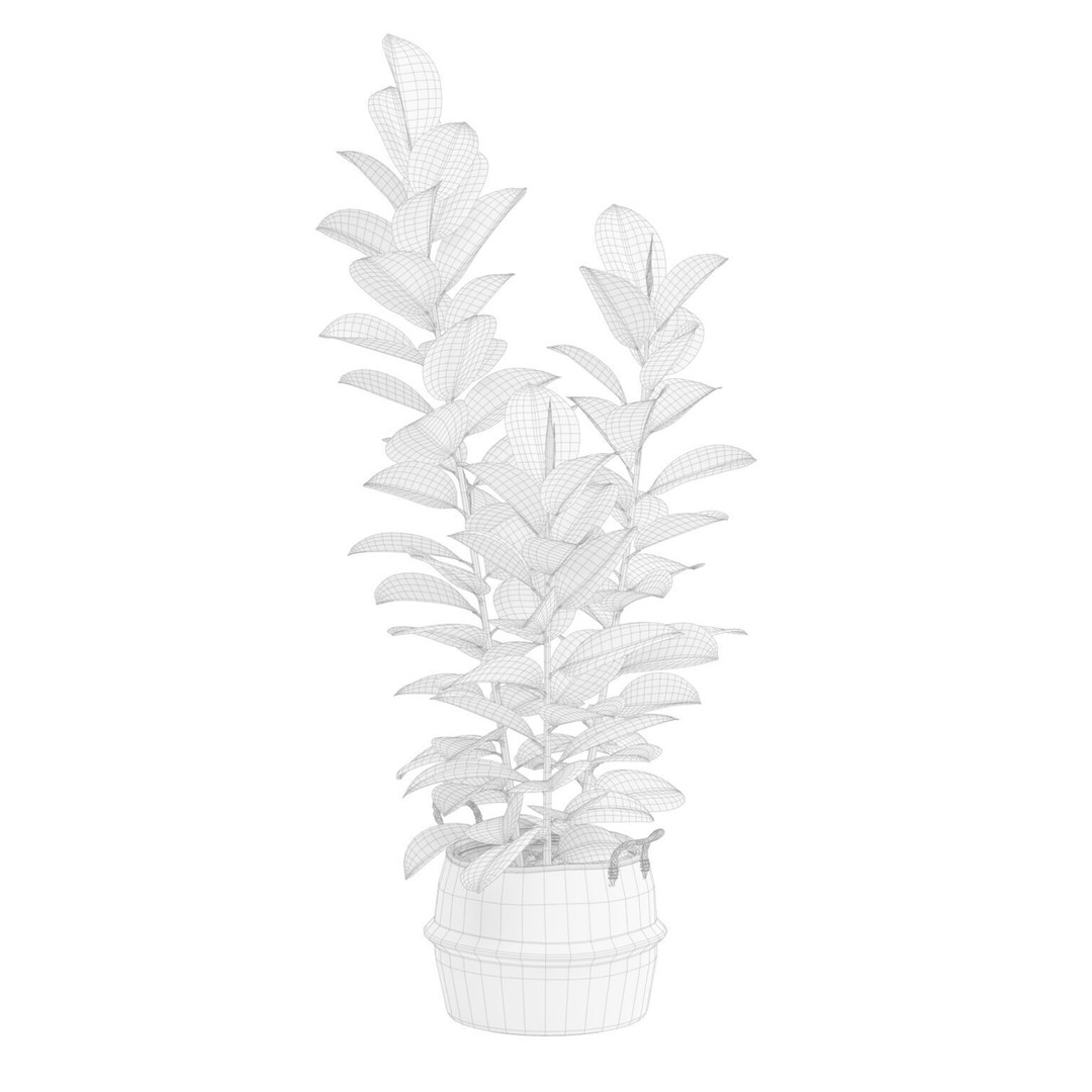 Ficus Elastica 3D Model – Wicker Basket Design with PBR Textures - View 4
