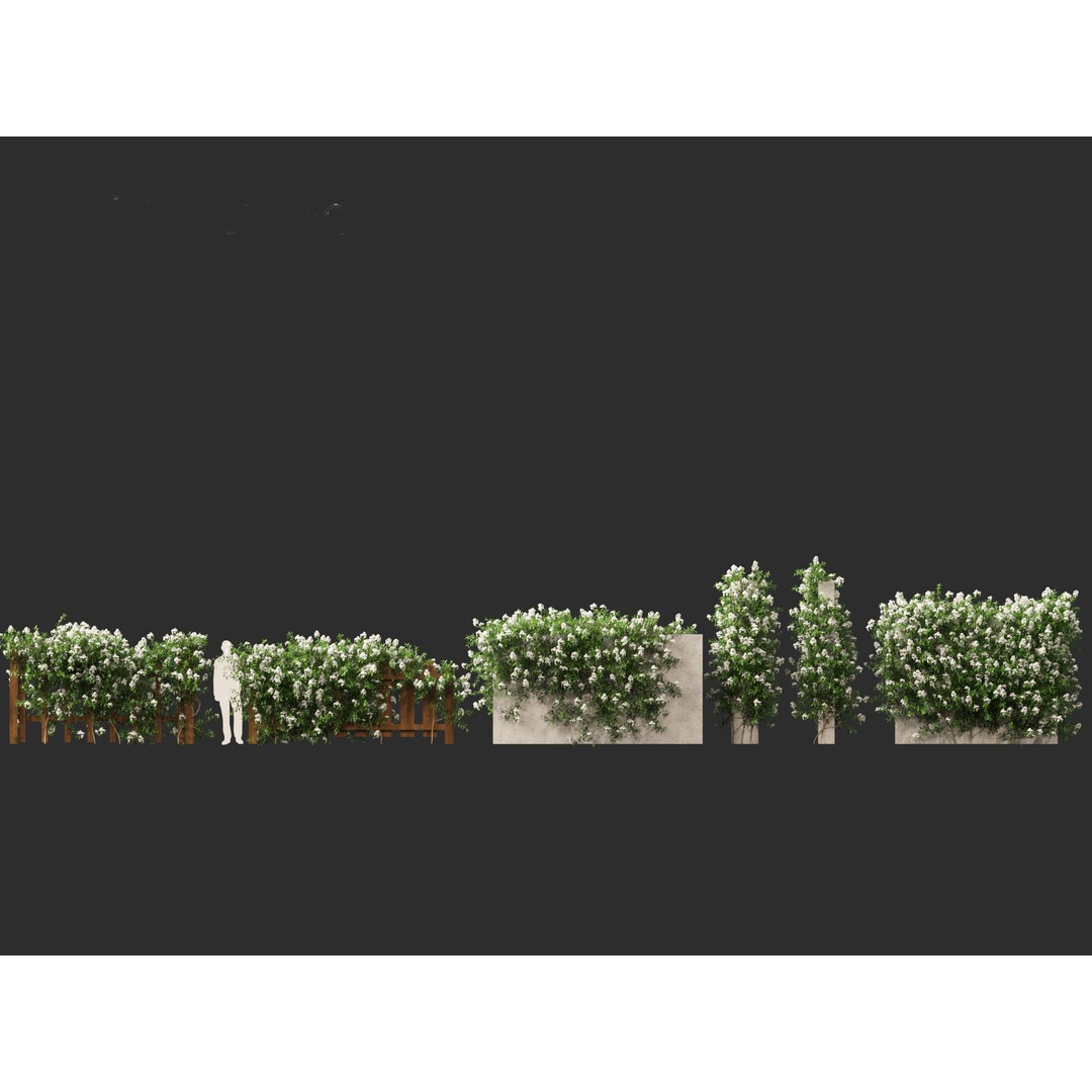 Solanum Laxum 3D Model – Realistic Potato Vine, FBX, PBR Textures - View 7