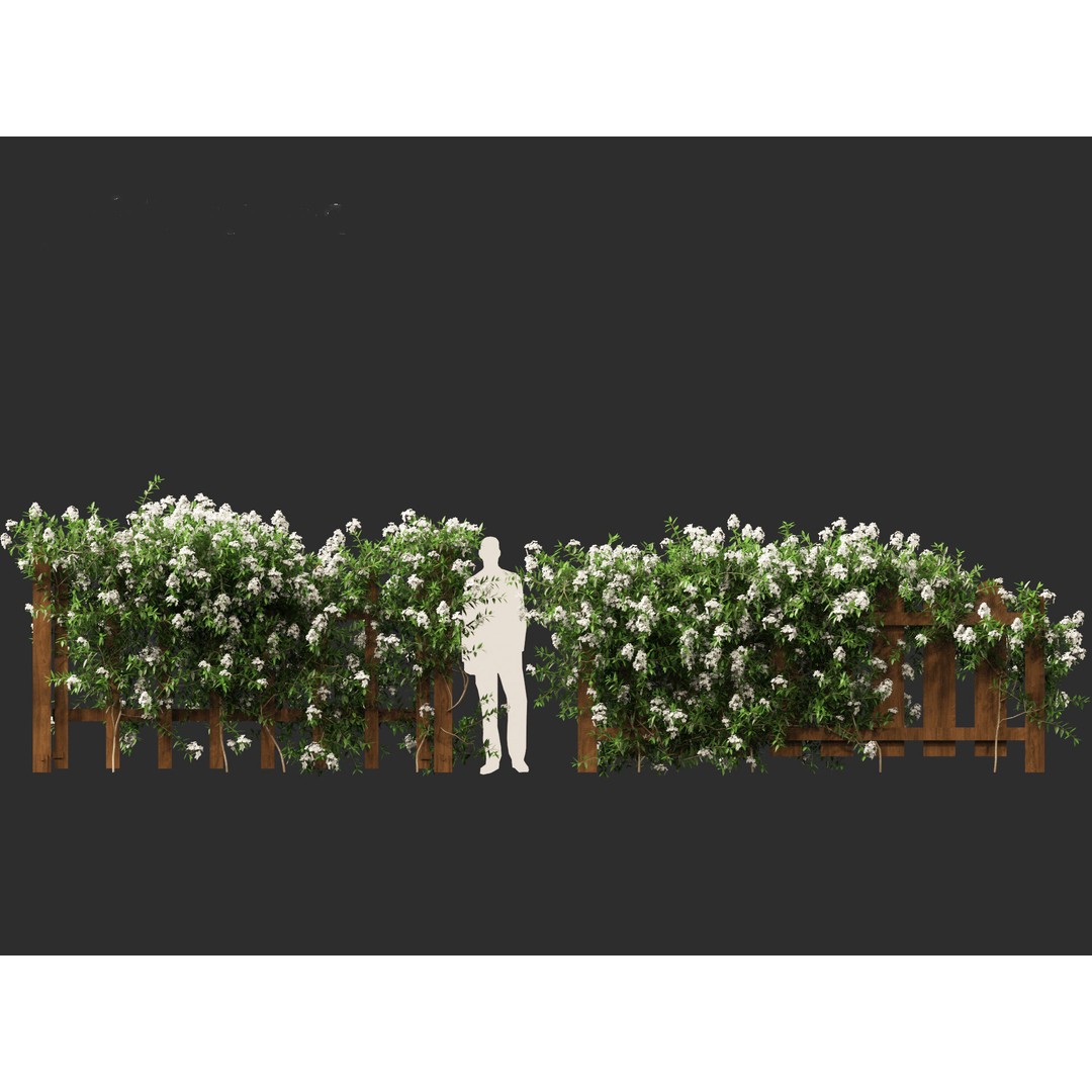 Solanum Laxum 3D Model – Realistic Potato Vine, FBX, PBR Textures - View 9