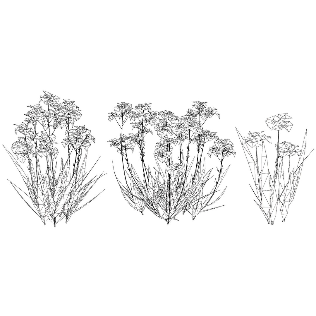 Iris Pallida 3D Model – Low Poly Flower Asset, Game-Ready Formats