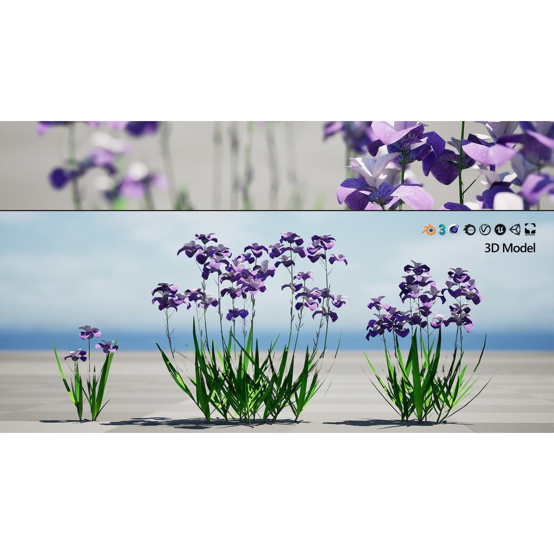 Iris Pallida 3D Model – Low Poly Flower Asset, Game-Ready Formats - View 5