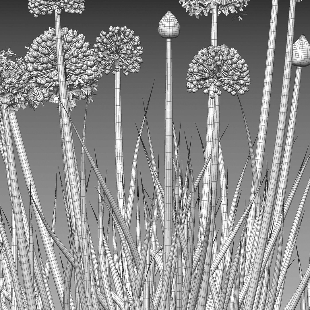 Common Onion 3D Model – PBR Plant Asset, FBX Format - View 6