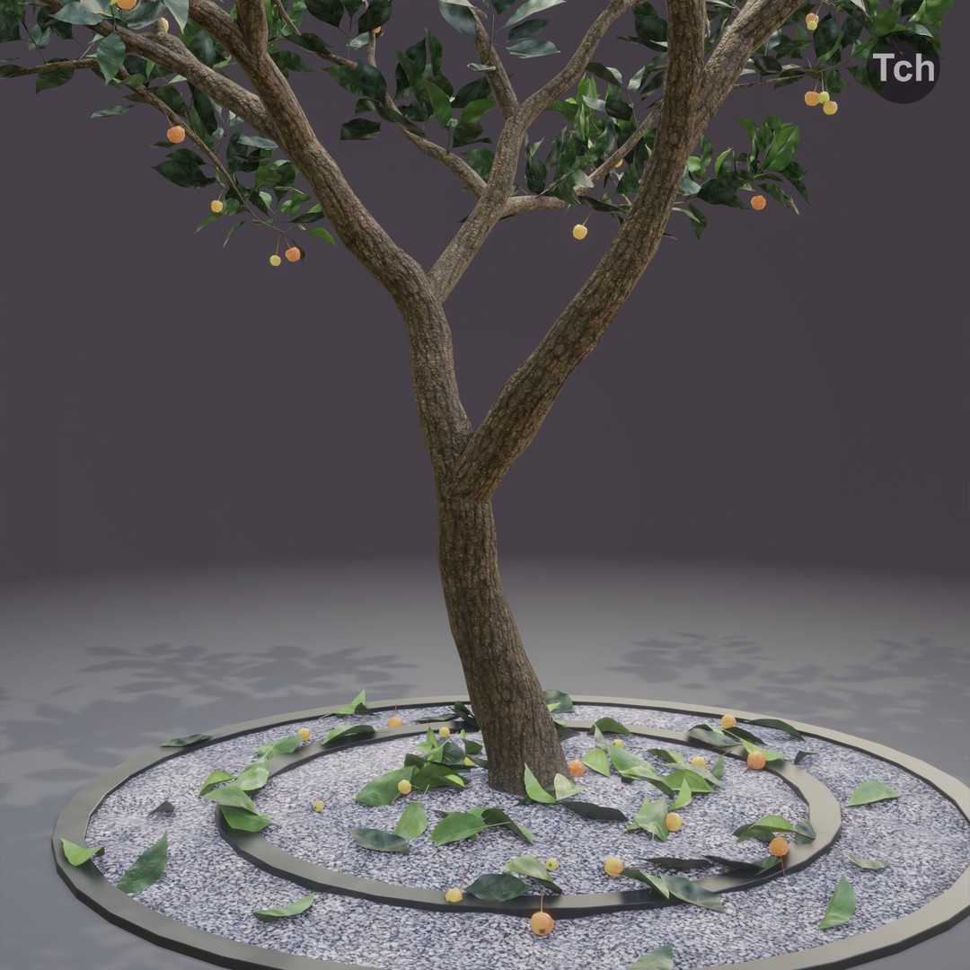 Summer Tree 3D Model – Realistic Foliage with PBR Textures, Blender, FBX, OBJ