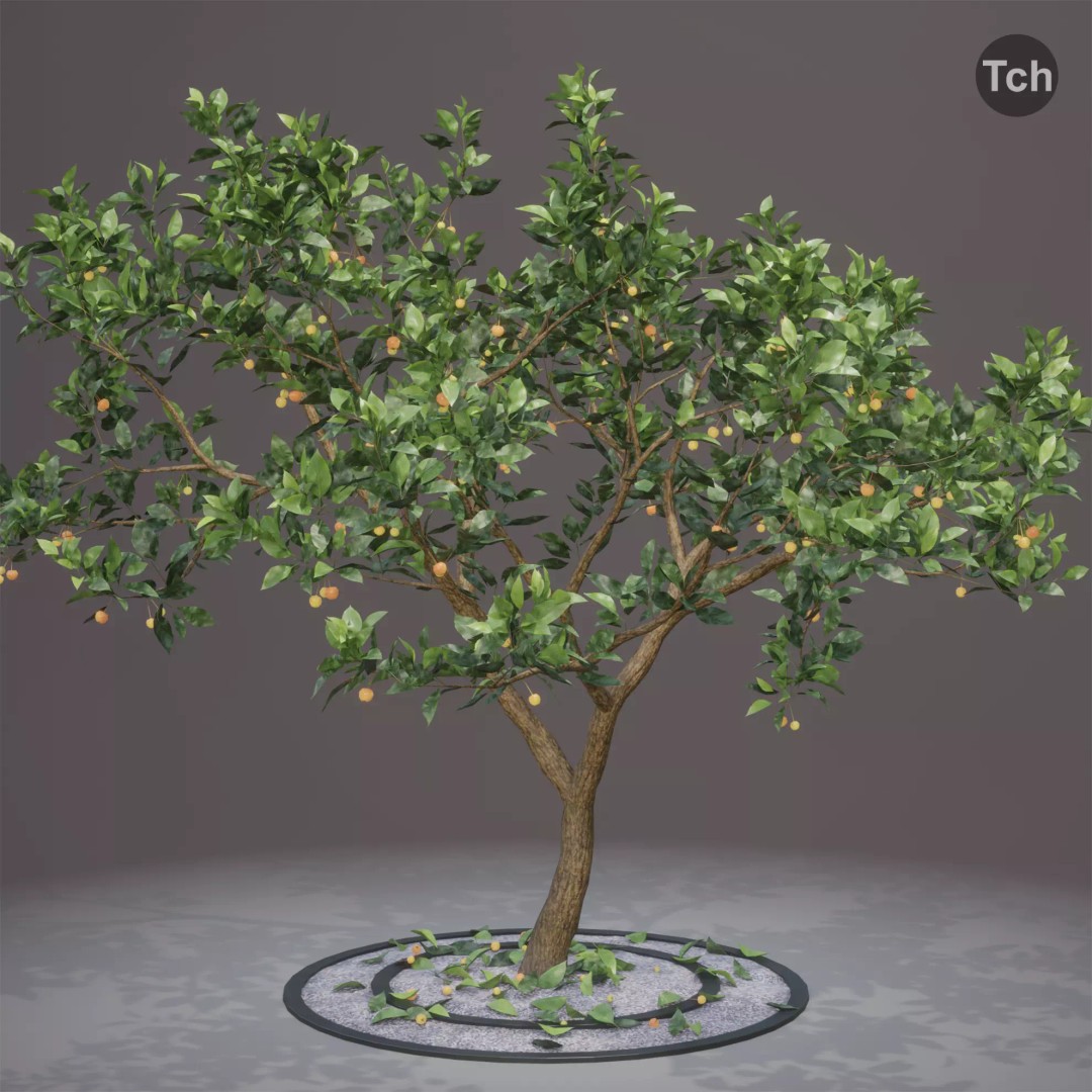 Summer Tree 3D Model – Realistic Foliage with PBR Textures, Blender, FBX, OBJ - View 2