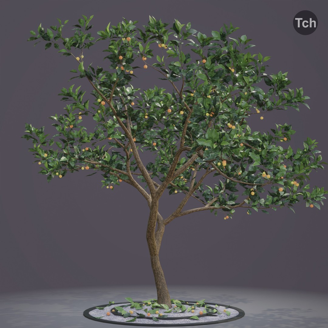 Summer Tree 3D Model – Realistic Foliage with PBR Textures, Blender, FBX, OBJ - View 3