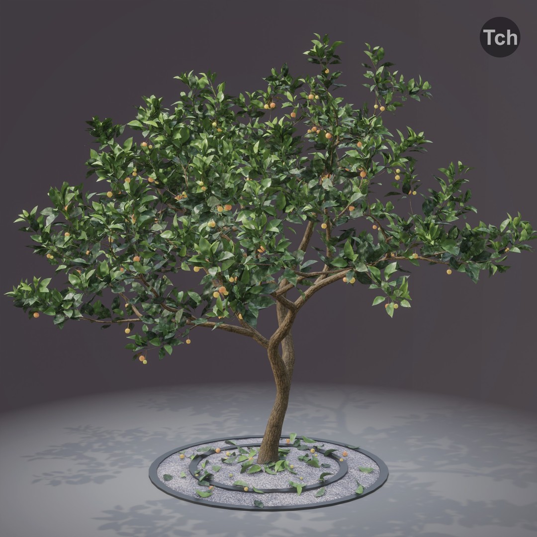 Summer Tree 3D Model – Realistic Foliage with PBR Textures, Blender, FBX, OBJ - View 4