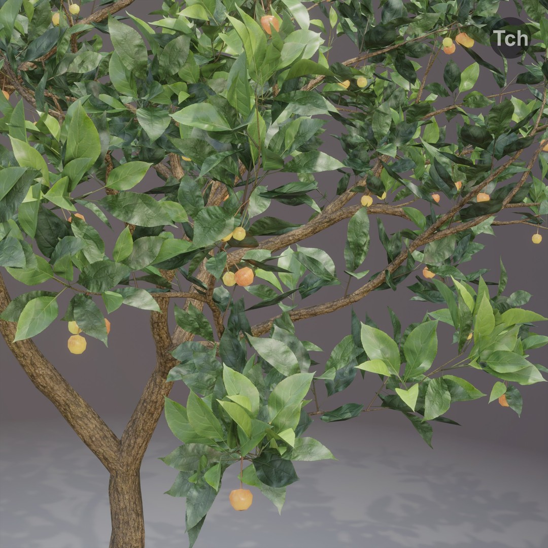 Summer Tree 3D Model – Realistic Foliage with PBR Textures, Blender, FBX, OBJ - View 6