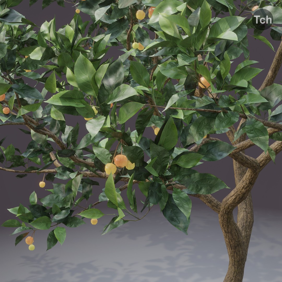 Summer Tree 3D Model – Realistic Foliage with PBR Textures, Blender, FBX, OBJ - View 7