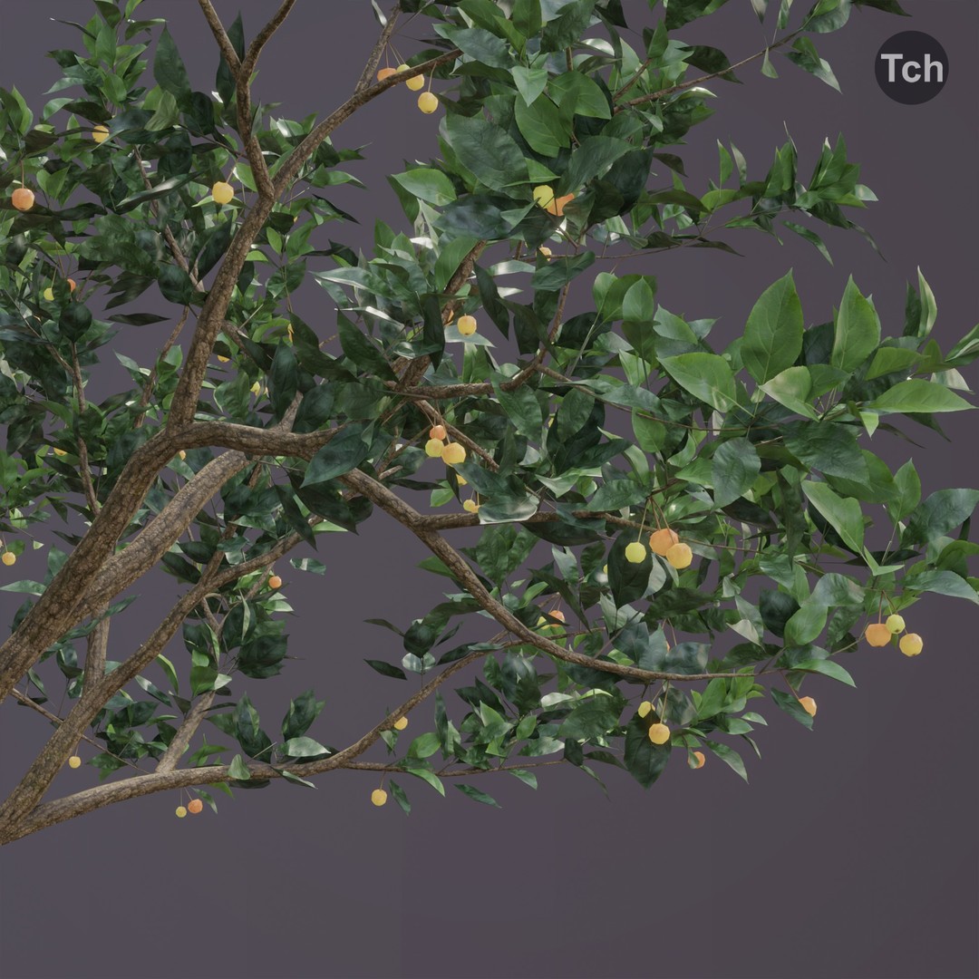 Summer Tree 3D Model – Realistic Foliage with PBR Textures, Blender, FBX, OBJ - View 8