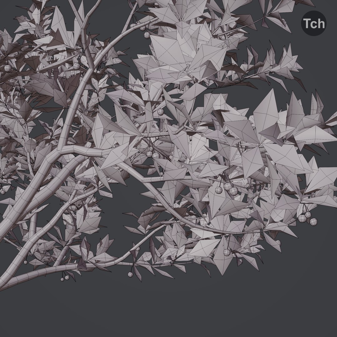 Summer Tree 3D Model – Realistic Foliage with PBR Textures, Blender, FBX, OBJ - View 9