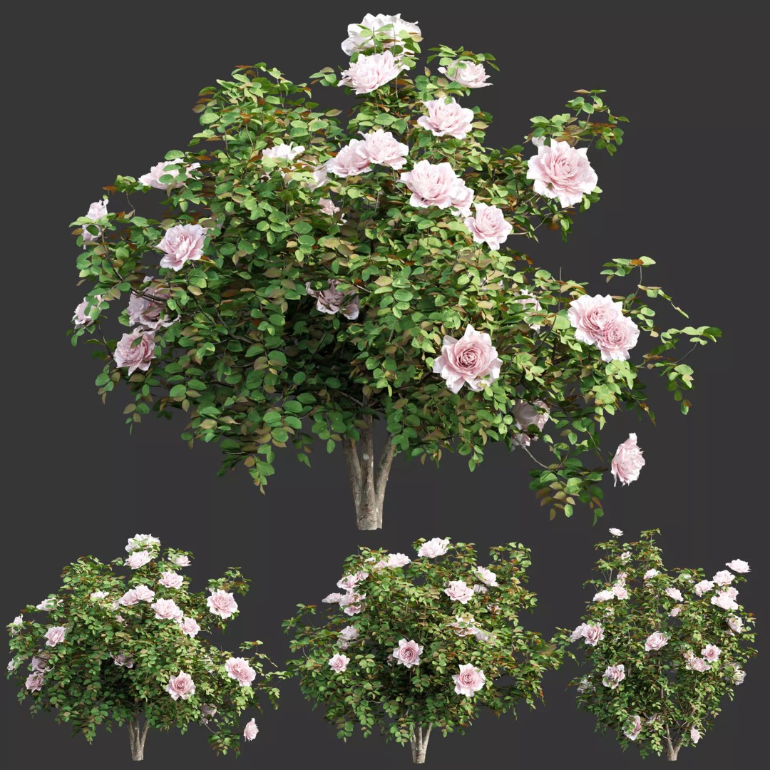 Rose Bushes 3D Model – PBR Plant Collection, FBX & OBJ Formats - View 2