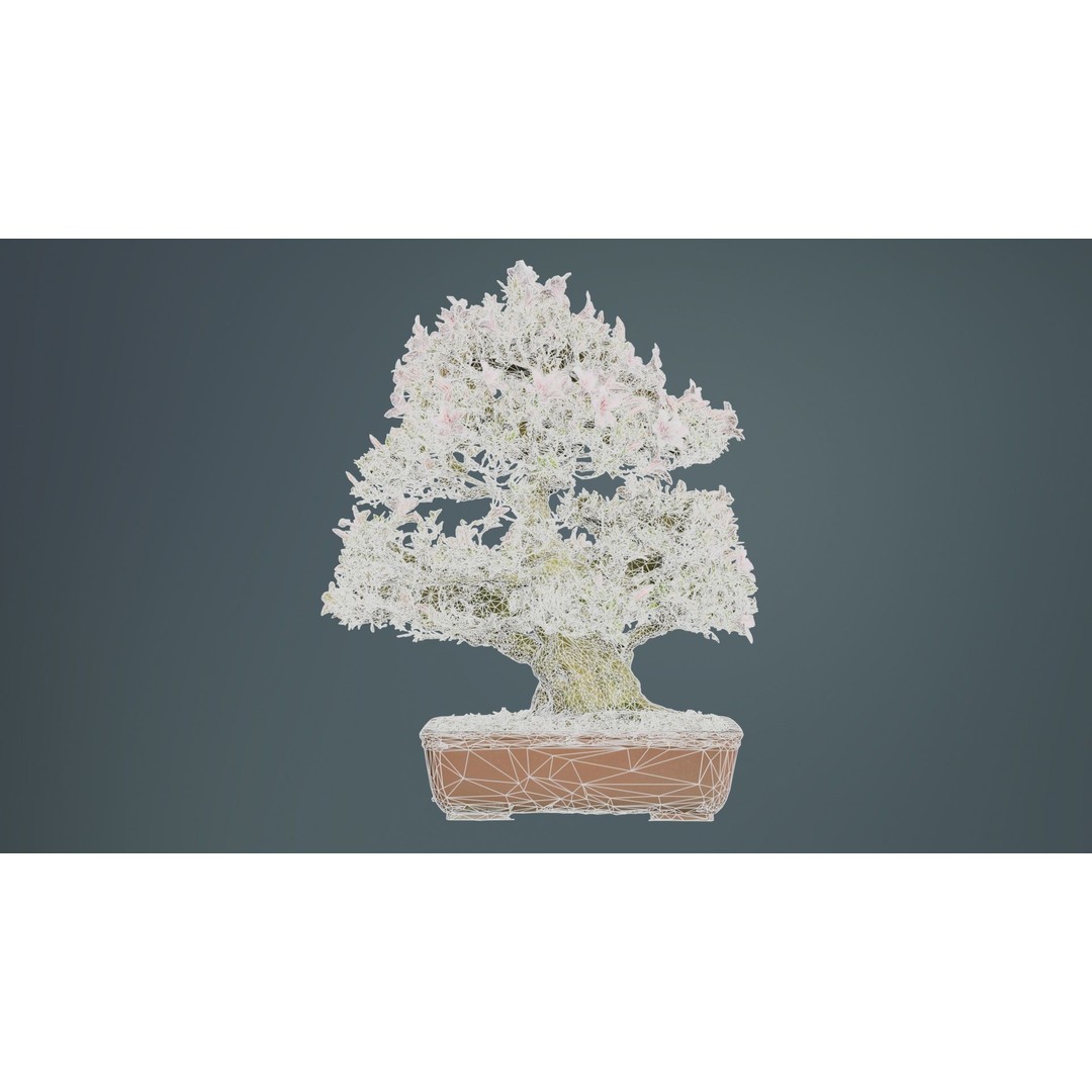 Satsuki Azalea Bonsai Tree 3D Model – Low Poly Game Asset, FBX, PBR - View 11