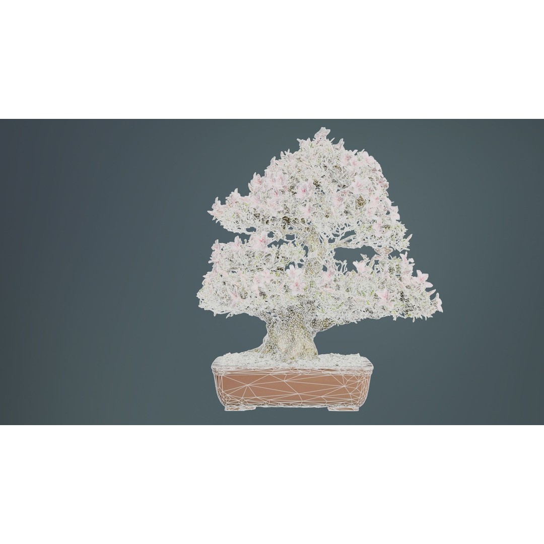 Satsuki Azalea Bonsai Tree 3D Model – Low Poly Game Asset, FBX, PBR - View 12