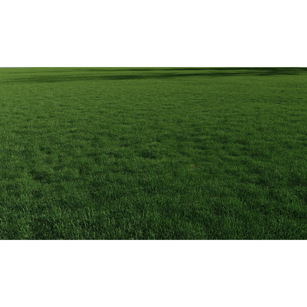 Realistic Grass 3D Model – PBR Animated Grass Patches, FBX, OBJ - View 2