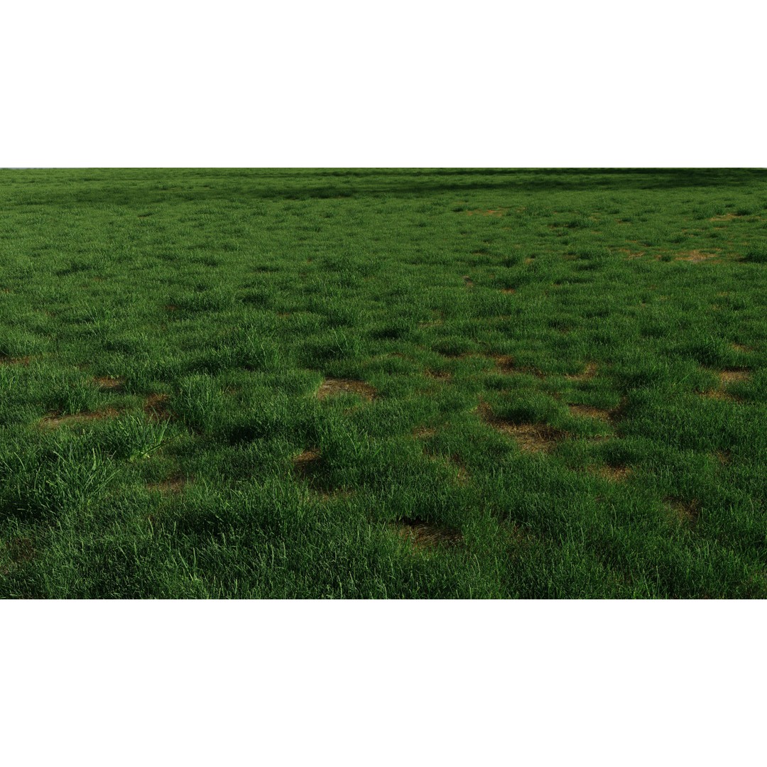 Realistic Grass 3D Model – PBR Animated Grass Patches, FBX, OBJ - View 3