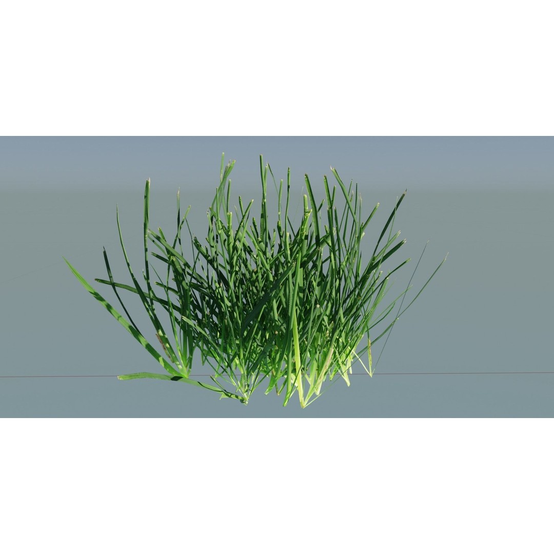 Realistic Grass 3D Model – PBR Animated Grass Patches, FBX, OBJ - View 4