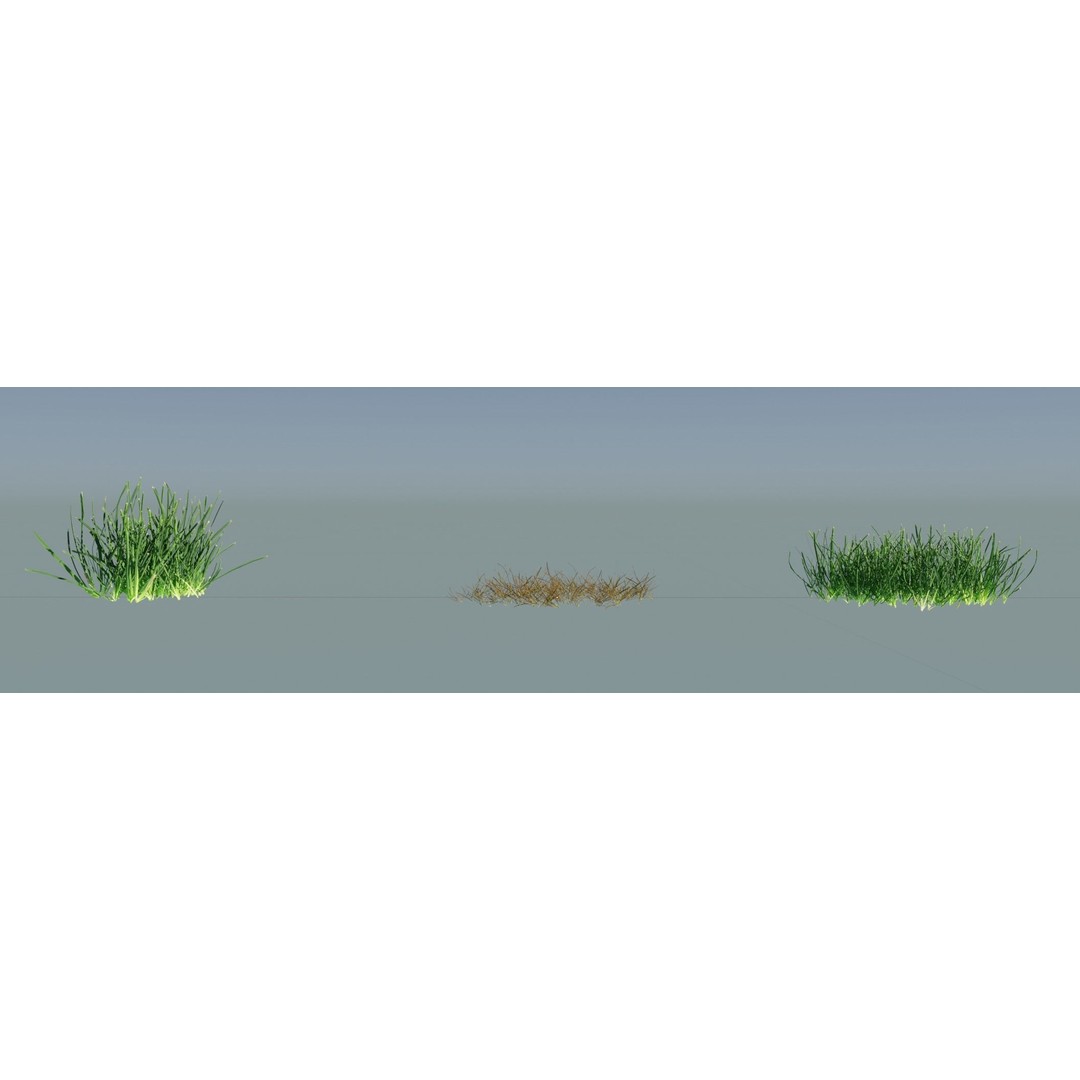 Realistic Grass 3D Model – PBR Animated Grass Patches, FBX, OBJ - View 5