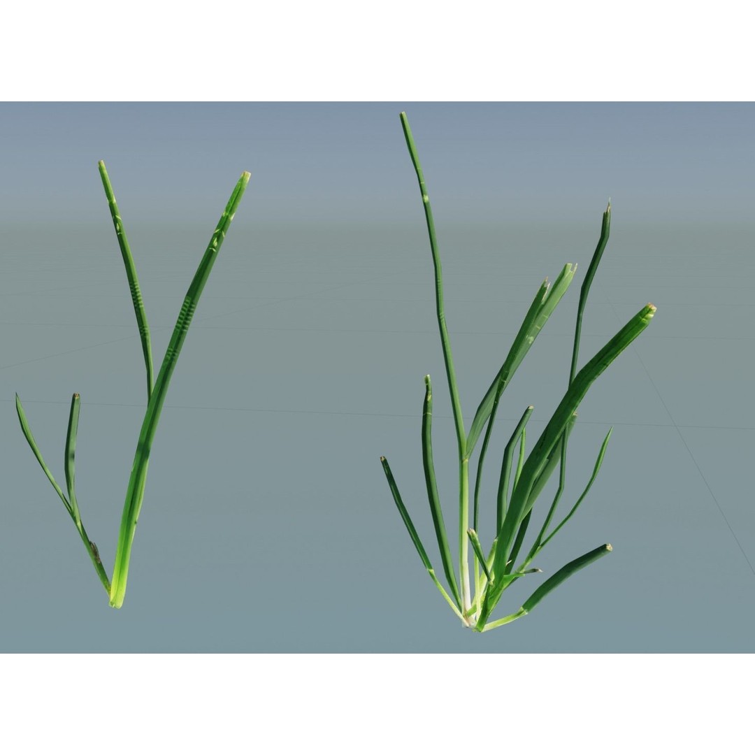 Realistic Grass 3D Model – PBR Animated Grass Patches, FBX, OBJ - View 7
