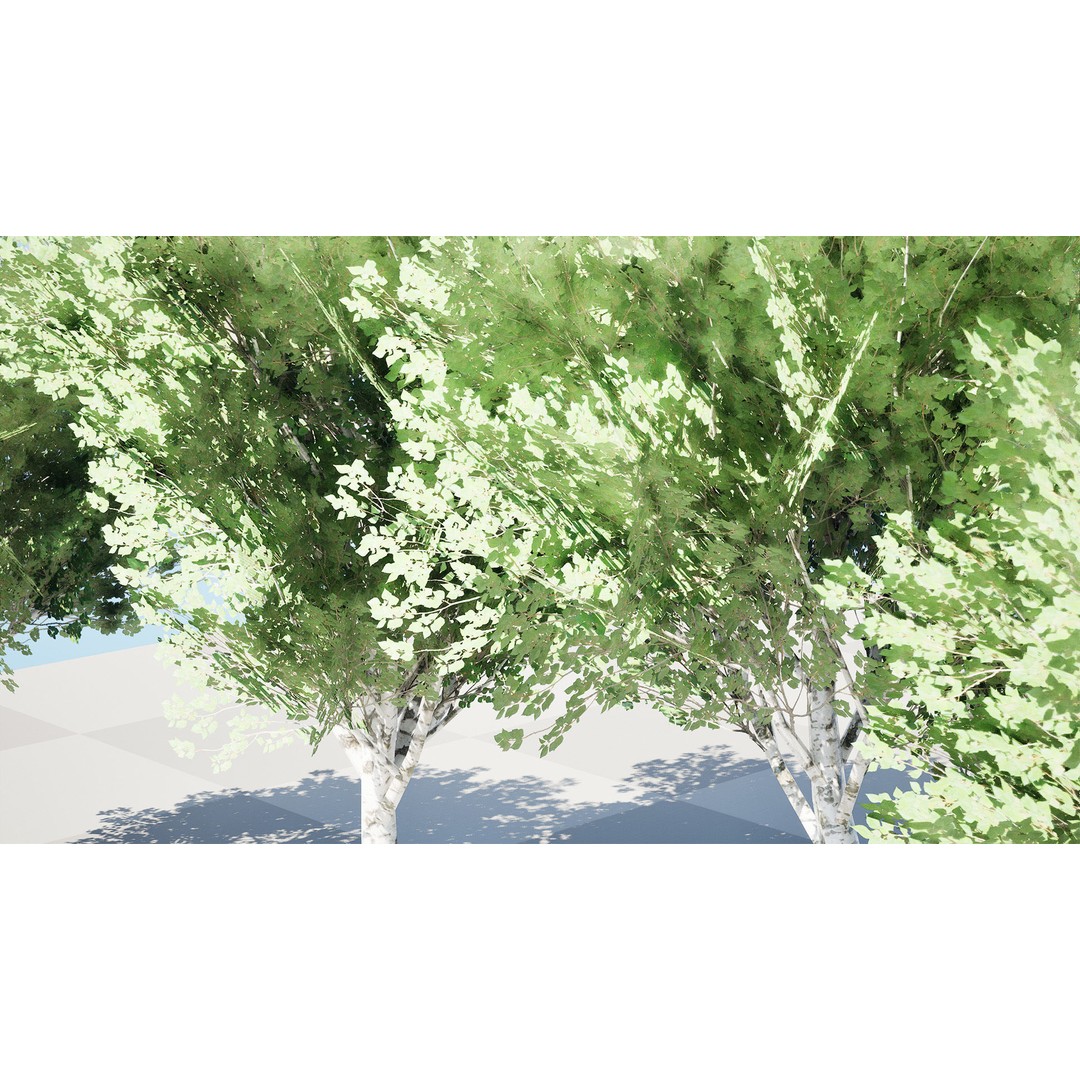 Low Poly Grey Poplar Trees 3D Model – Optimized Game Asset, FBX, PBR - View 3