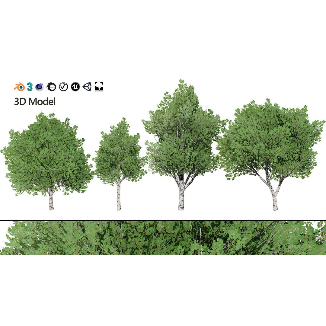 Low Poly Grey Poplar Trees 3D Model – Optimized Game Asset, FBX, PBR - View 4