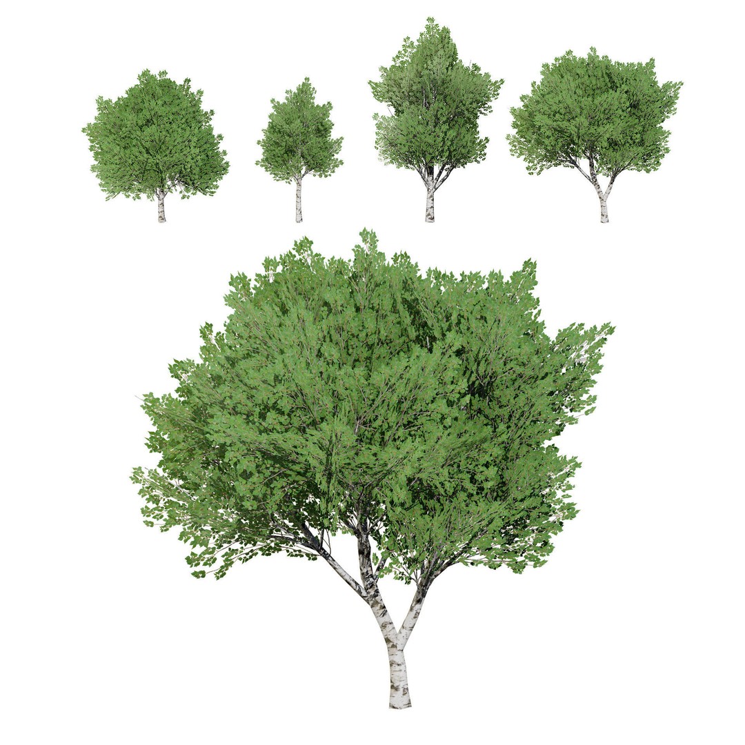 Low Poly Grey Poplar Trees 3D Model – Optimized Game Asset, FBX, PBR - View 5