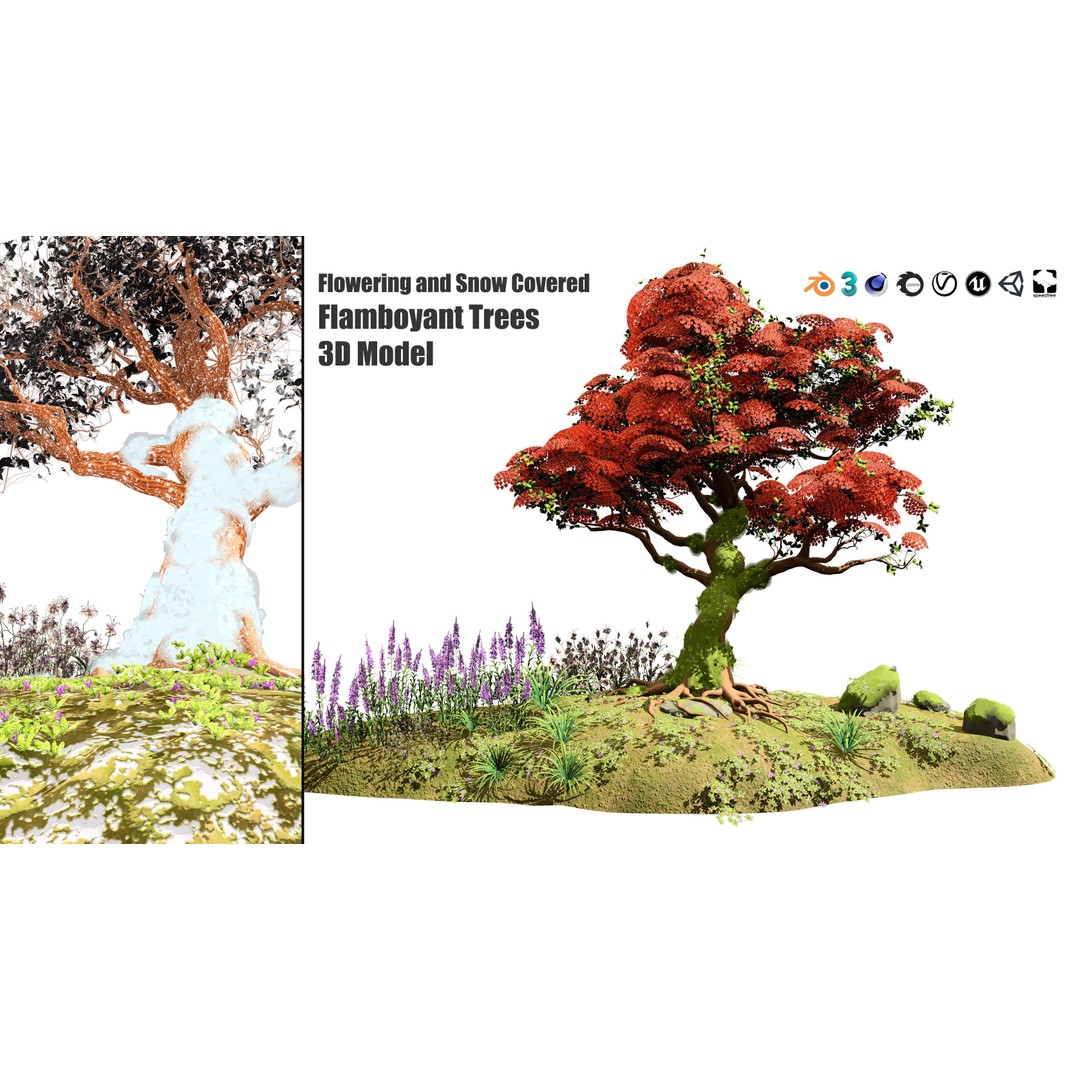 Royal Poinciana Tree 3D Model – High Poly Animated Asset, FBX