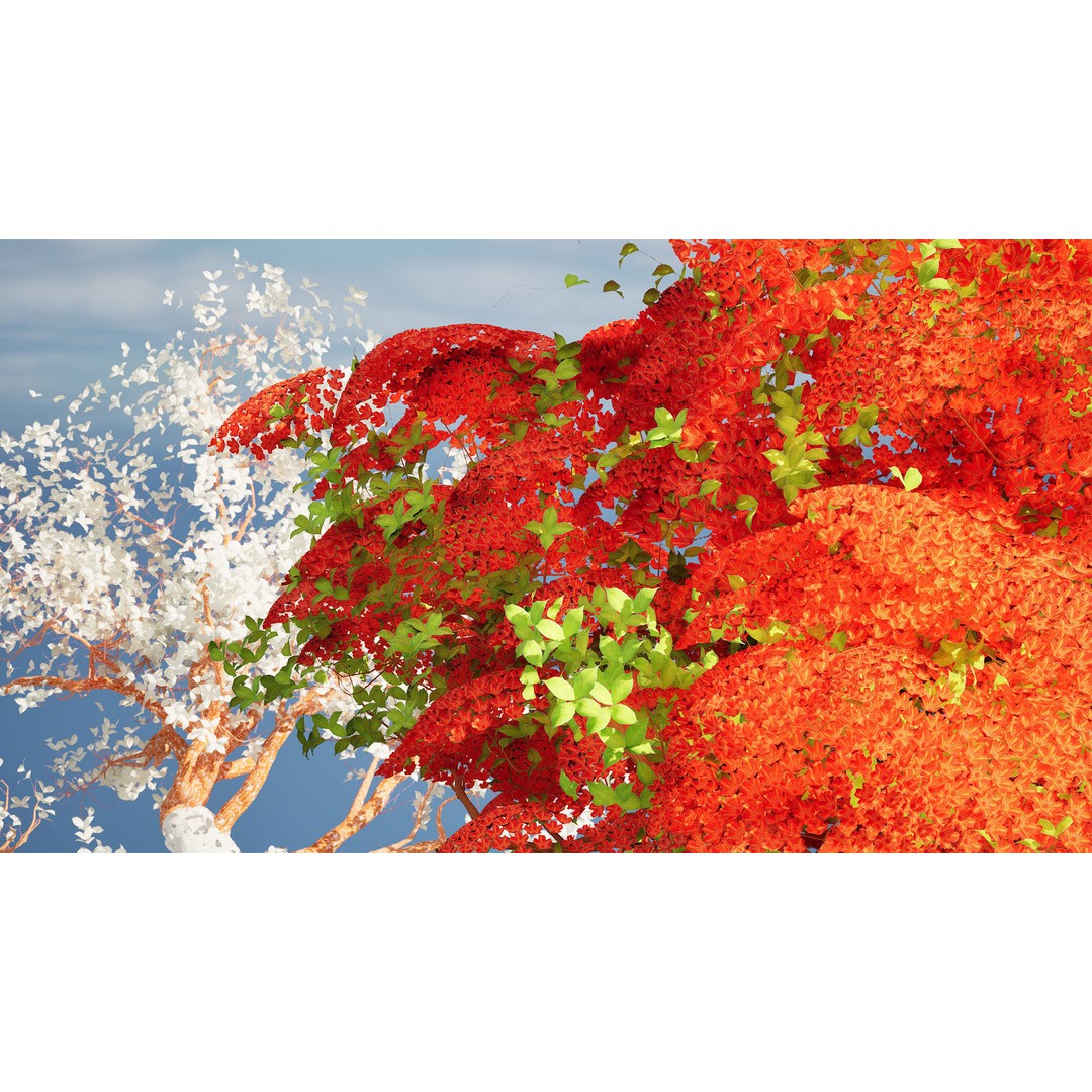 Royal Poinciana Tree 3D Model – High Poly Animated Asset, FBX - View 11