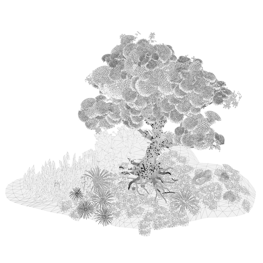 Royal Poinciana Tree 3D Model – High Poly Animated Asset, FBX - View 12