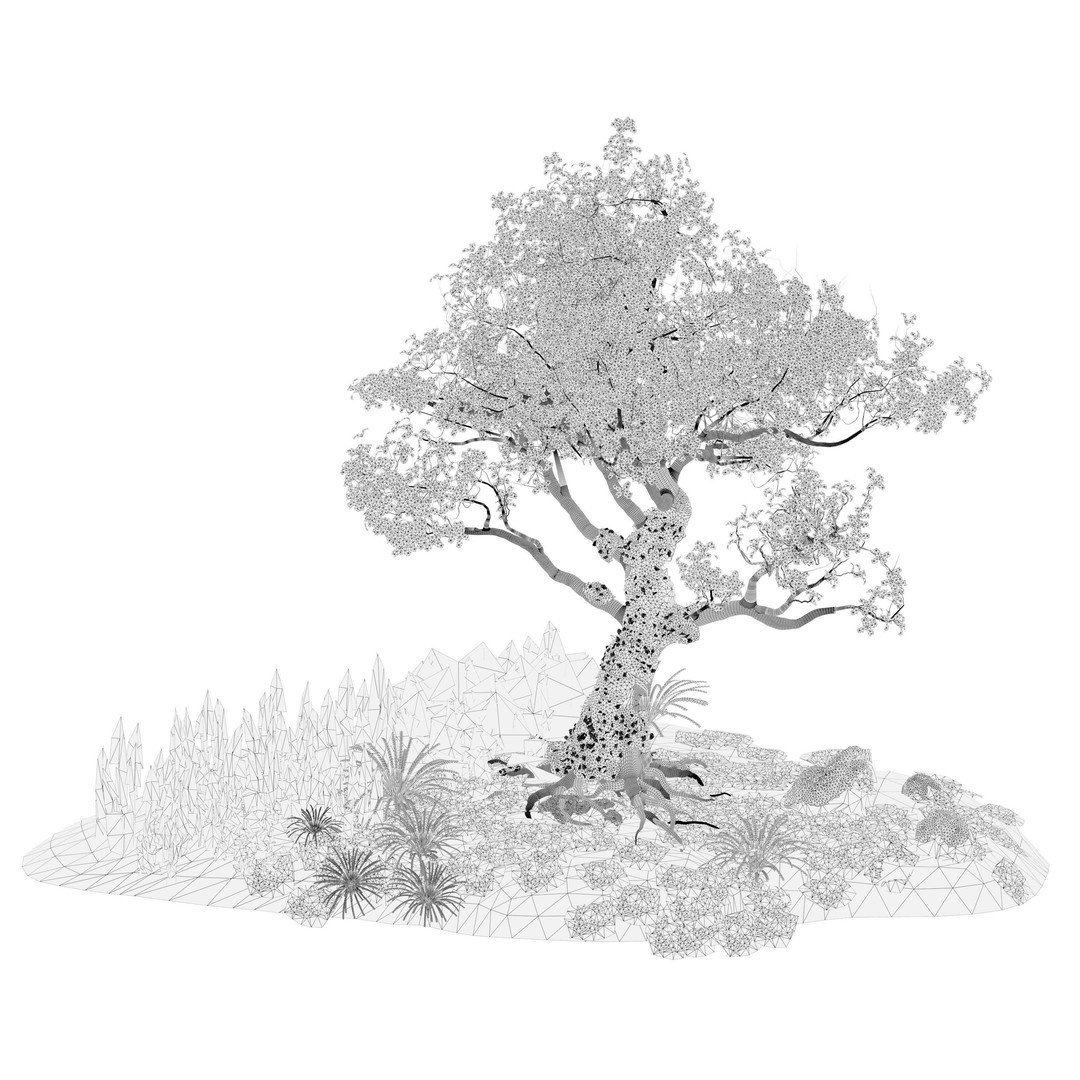 Royal Poinciana Tree 3D Model – High Poly Animated Asset, FBX - View 13