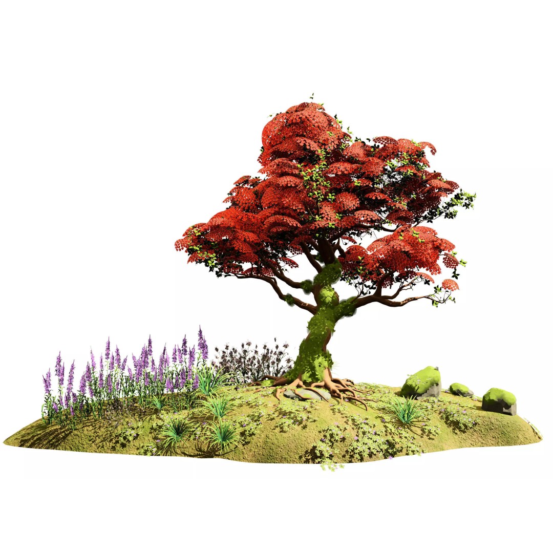 Royal Poinciana Tree 3D Model – High Poly Animated Asset, FBX - View 2