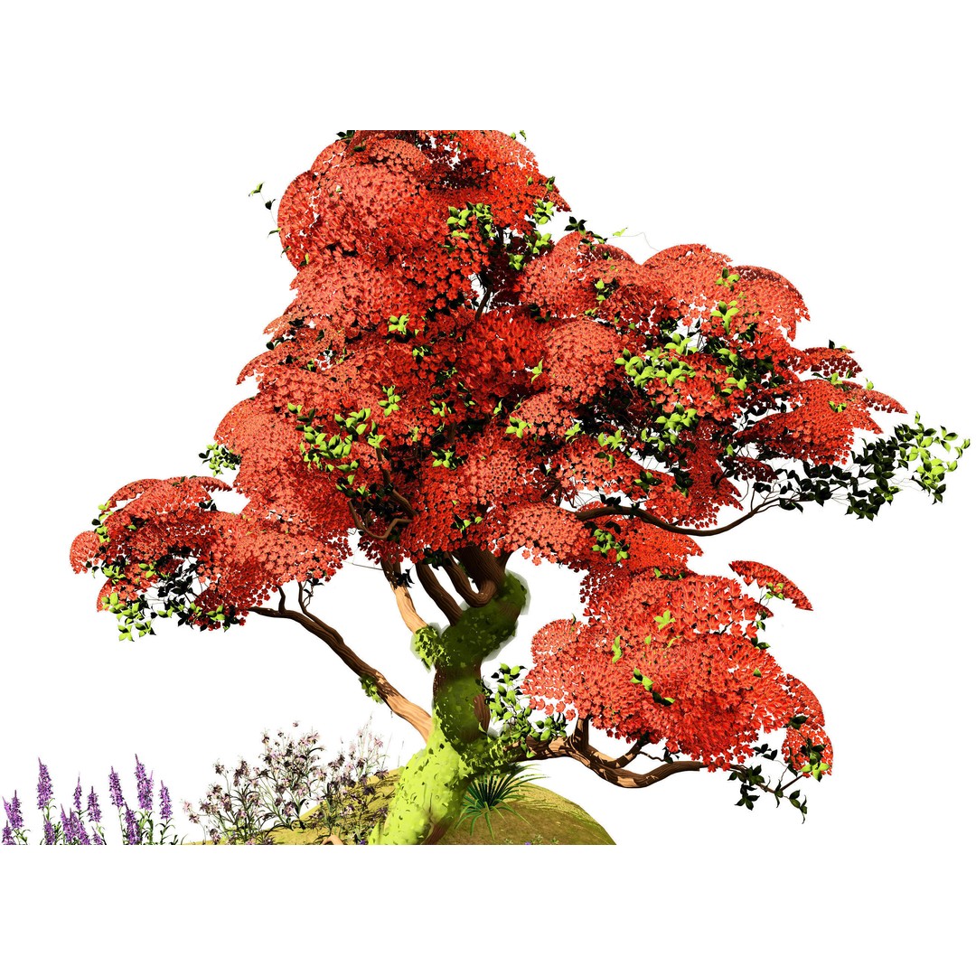 Royal Poinciana Tree 3D Model – High Poly Animated Asset, FBX - View 4