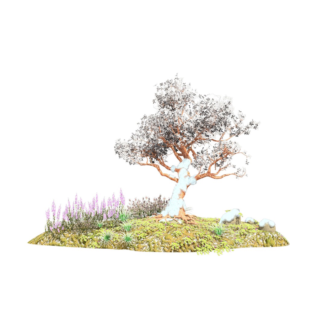 Royal Poinciana Tree 3D Model – High Poly Animated Asset, FBX - View 5