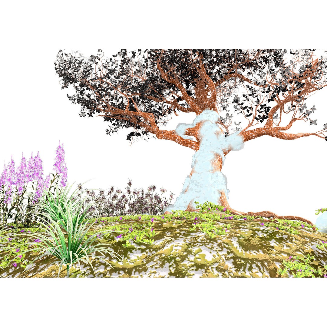 Royal Poinciana Tree 3D Model – High Poly Animated Asset, FBX - View 6