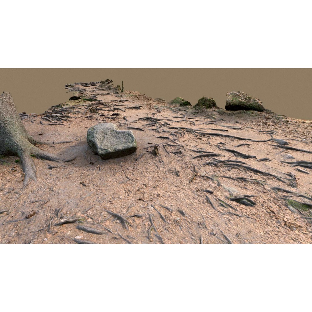 Forest Path with Roots 3D Model – High Poly Scanned Terrain, FBX, OBJ - View 2