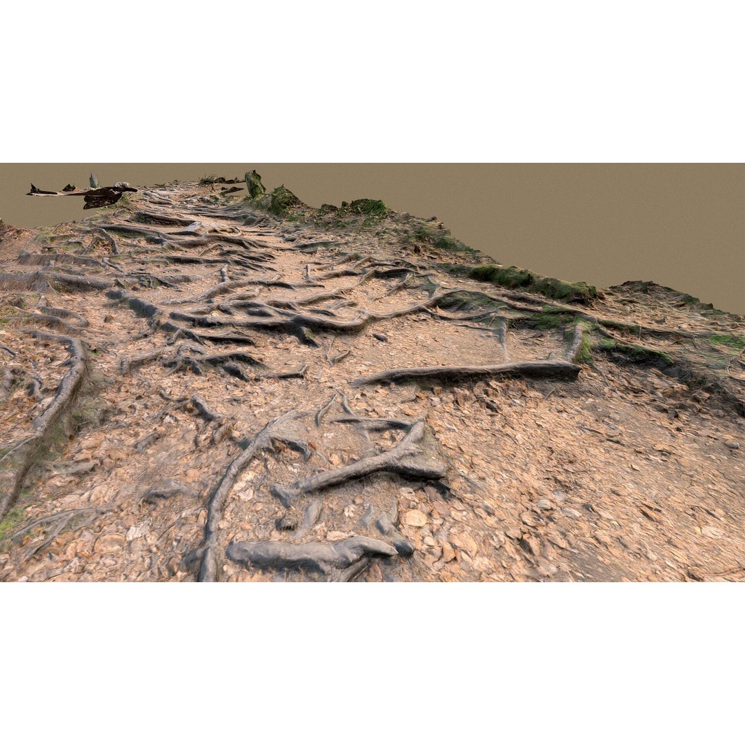 Forest Path with Roots 3D Model – High Poly Scanned Terrain, FBX, OBJ - View 3