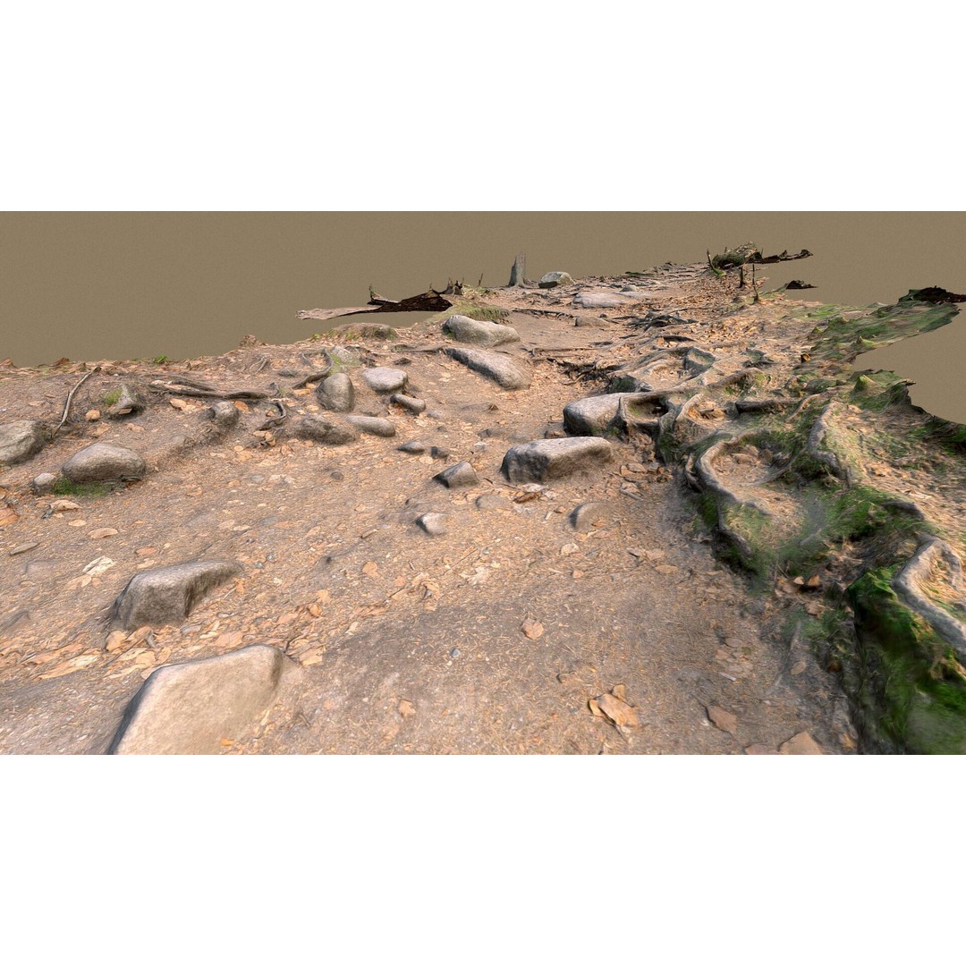 Forest Path with Roots 3D Model – High Poly Scanned Terrain, FBX, OBJ - View 4