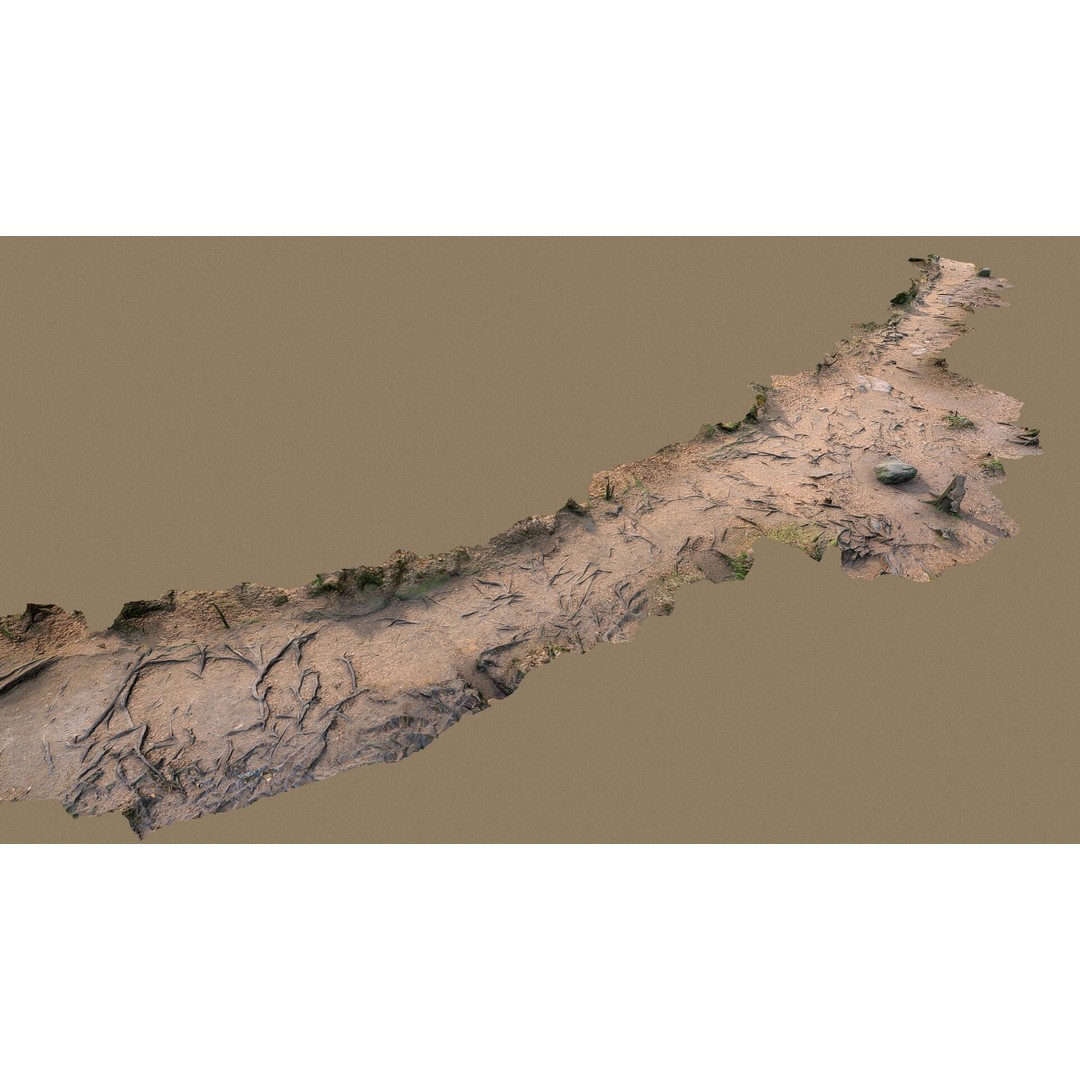 Forest Path with Roots 3D Model – High Poly Scanned Terrain, FBX, OBJ - View 5