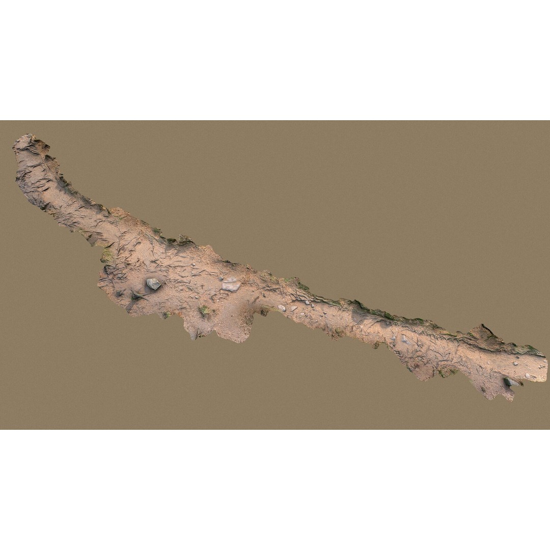 Forest Path with Roots 3D Model – High Poly Scanned Terrain, FBX, OBJ - View 6