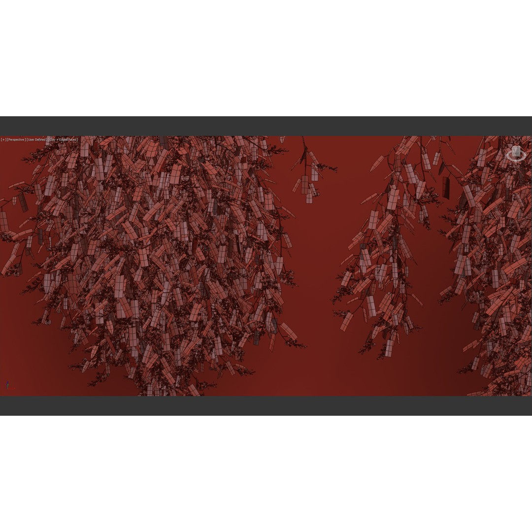 Hardenbergia violacea 3D Model – Purple Coral Pea, FBX, PBR Textures