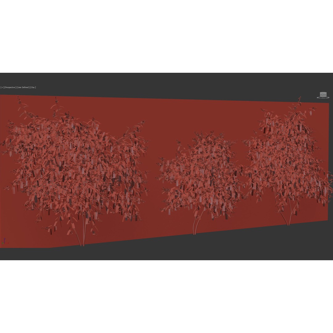 Hardenbergia violacea 3D Model – Purple Coral Pea, FBX, PBR Textures - View 11