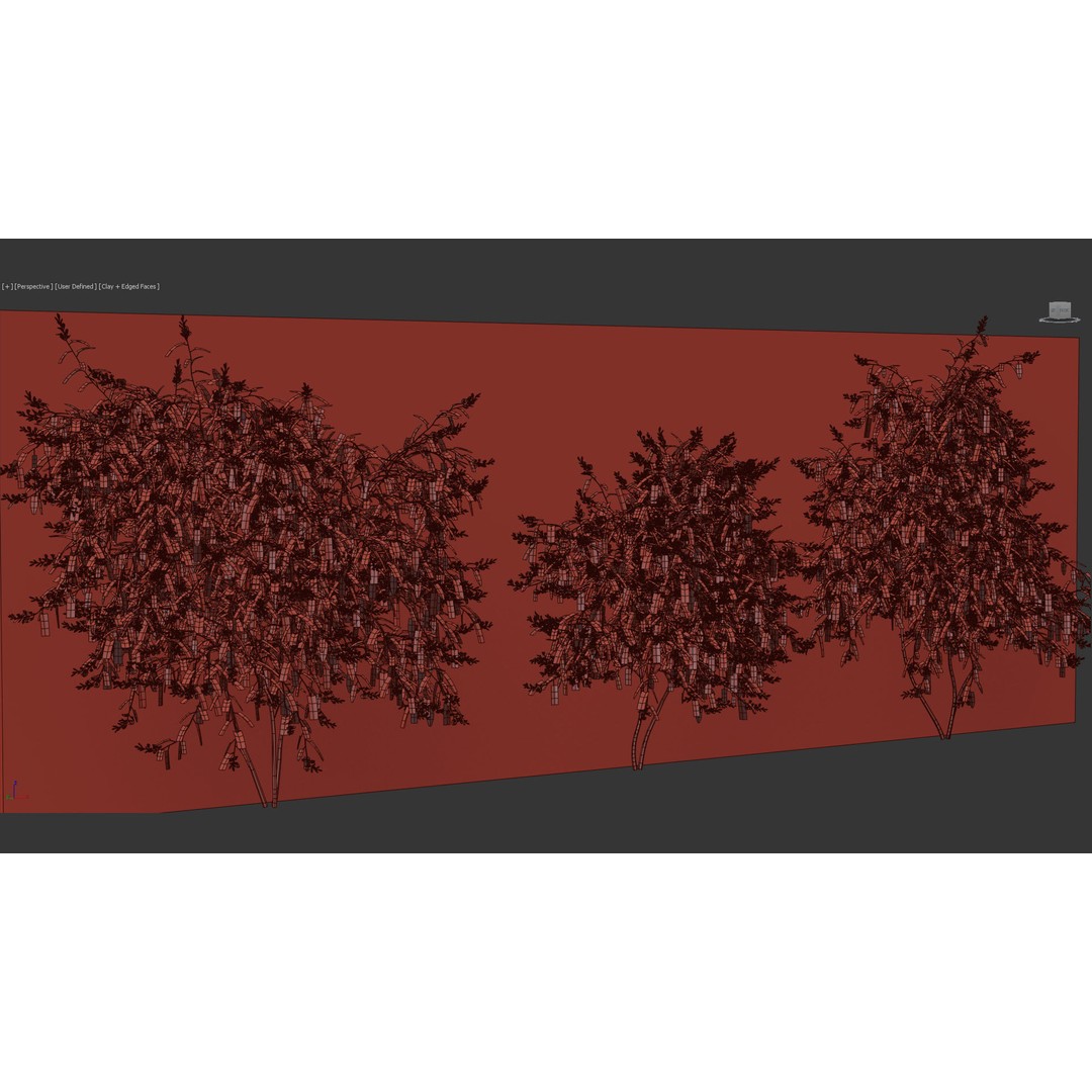 Hardenbergia violacea 3D Model – Purple Coral Pea, FBX, PBR Textures - View 12