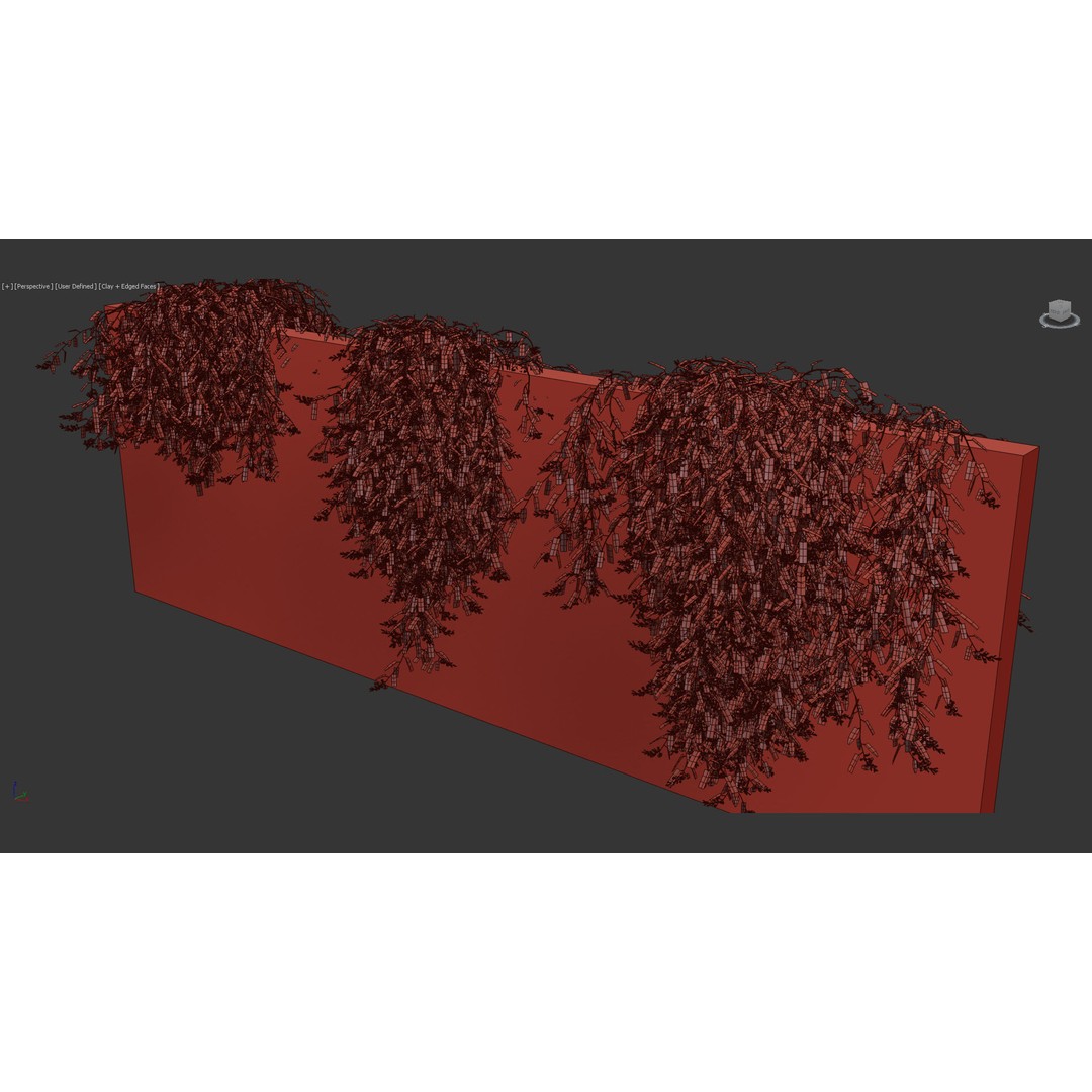 Hardenbergia violacea 3D Model – Purple Coral Pea, FBX, PBR Textures - View 14