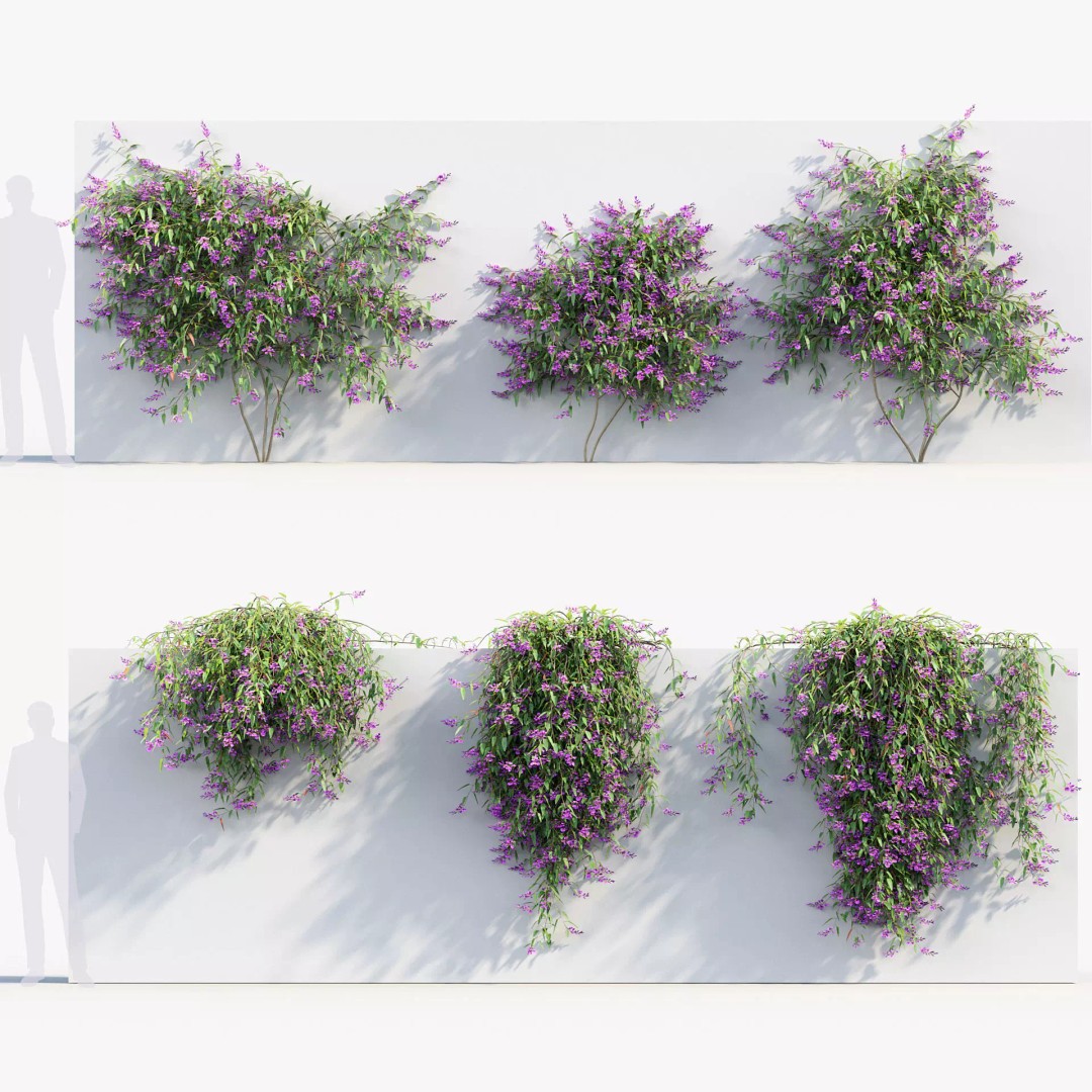 Hardenbergia violacea 3D Model – Purple Coral Pea, FBX, PBR Textures - View 2