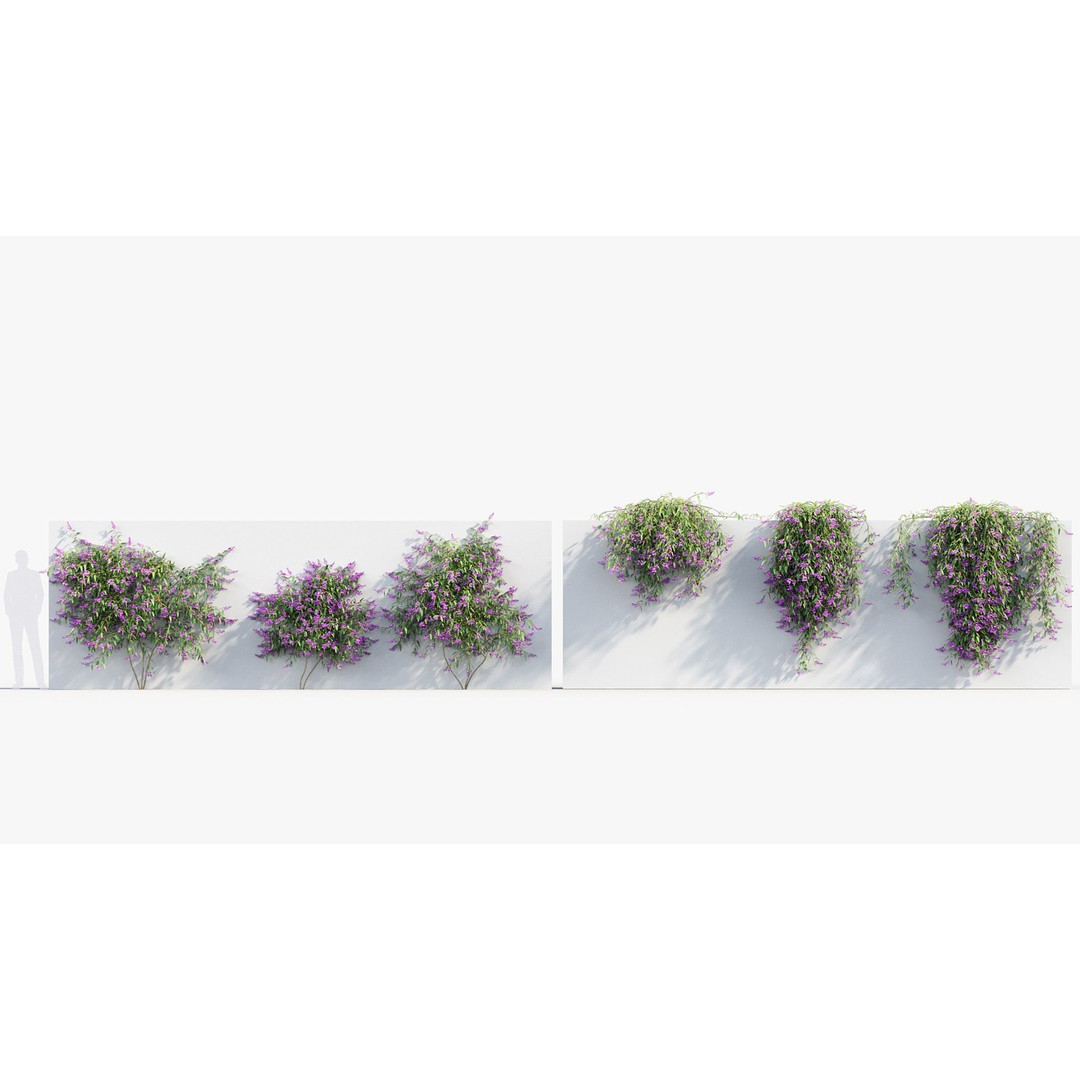 Hardenbergia violacea 3D Model – Purple Coral Pea, FBX, PBR Textures - View 3