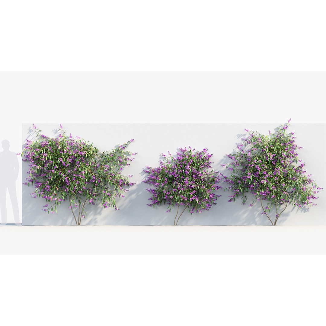 Hardenbergia violacea 3D Model – Purple Coral Pea, FBX, PBR Textures - View 4
