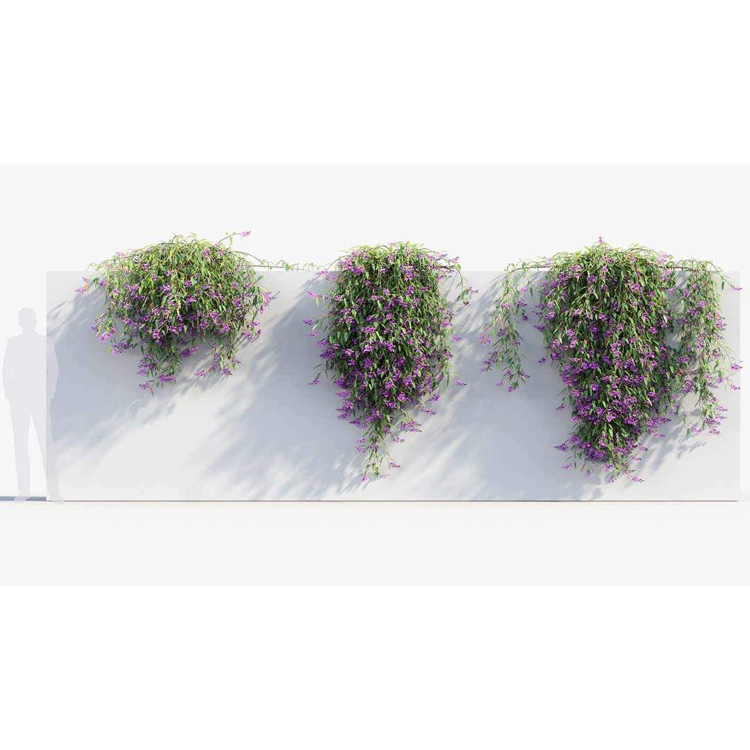 Hardenbergia violacea 3D Model – Purple Coral Pea, FBX, PBR Textures - View 5