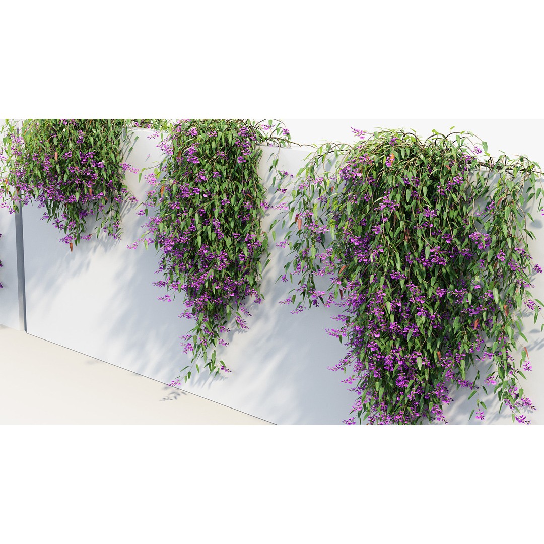 Hardenbergia violacea 3D Model – Purple Coral Pea, FBX, PBR Textures - View 8