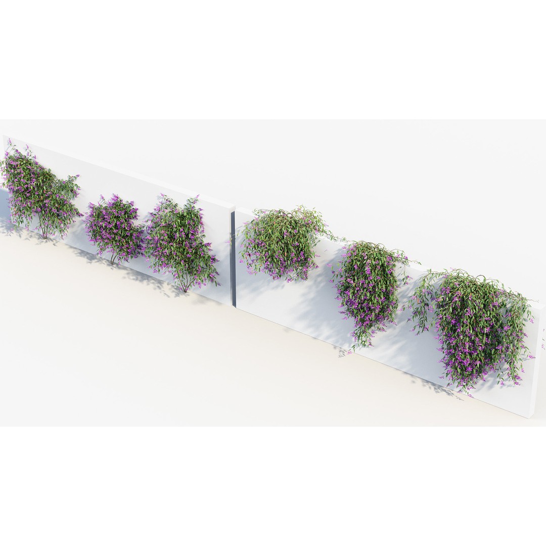 Hardenbergia violacea 3D Model – Purple Coral Pea, FBX, PBR Textures - View 9