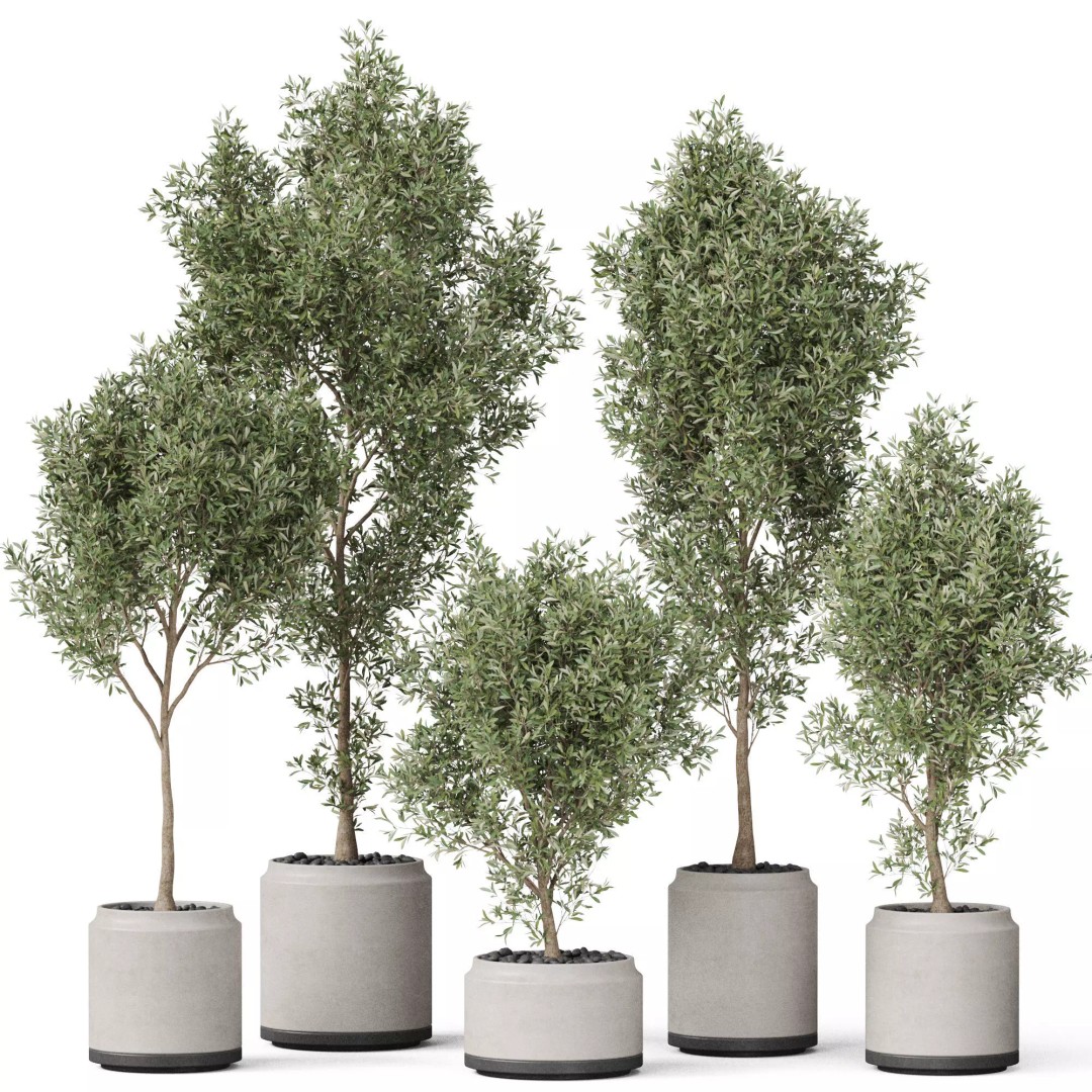 Plants Collection 846 3D Model – High Quality PBR Assets, FBX, OBJ - View 2