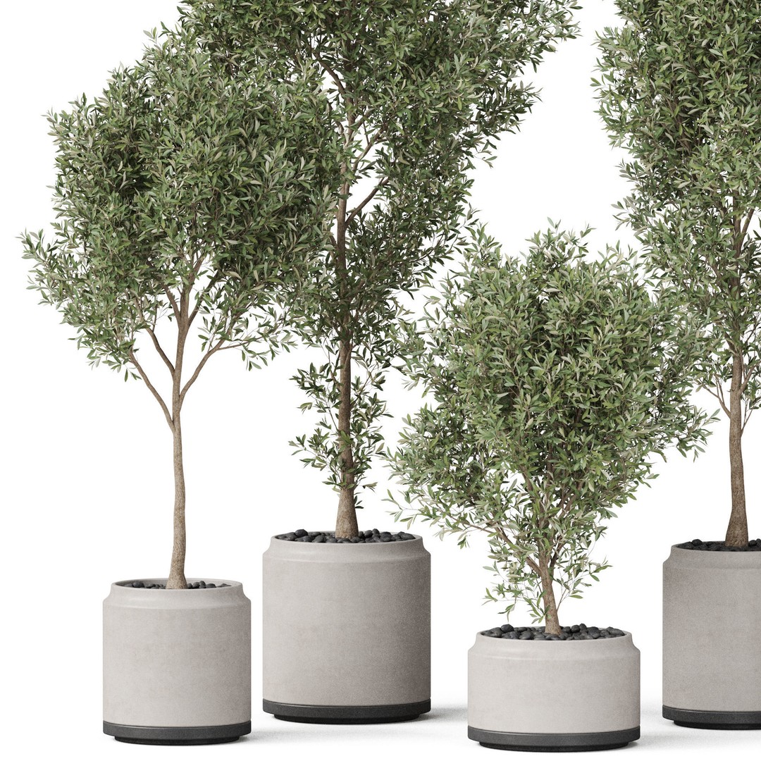 Plants Collection 846 3D Model – High Quality PBR Assets, FBX, OBJ - View 3